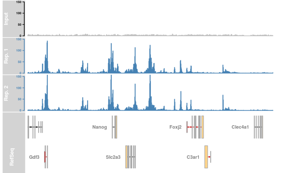 ChIP-seq Data Visualization